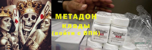 индика Мегион