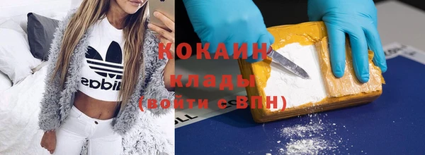 индика Мегион