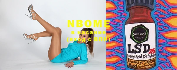 индика Мегион