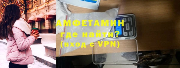индика Мегион
