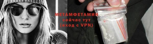 индика Мегион