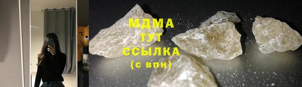 индика Мегион