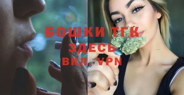 индика Мегион