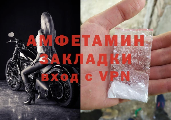 индика Мегион
