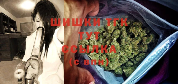 индика Мегион