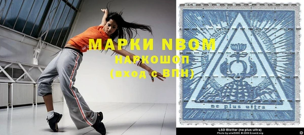 индика Мегион