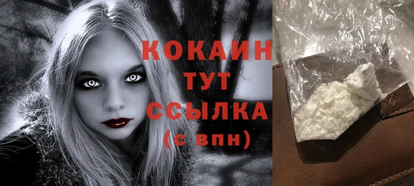 индика Мегион
