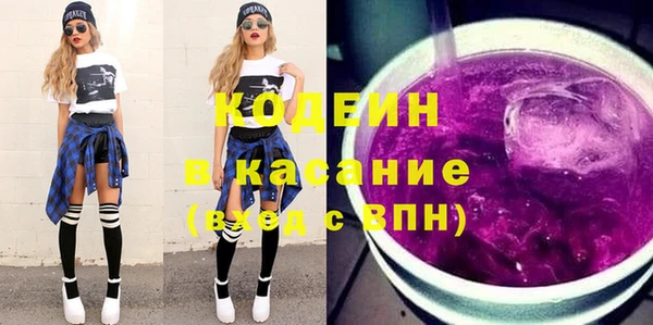 индика Мегион