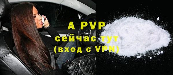 индика Мегион