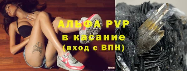 spice Медвежьегорск
