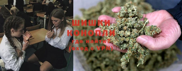 индика Мегион