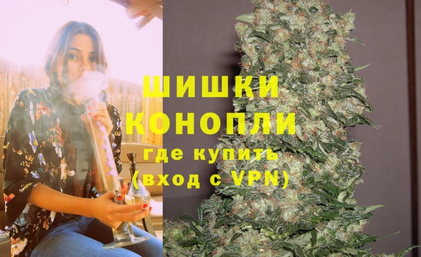 spice Медвежьегорск