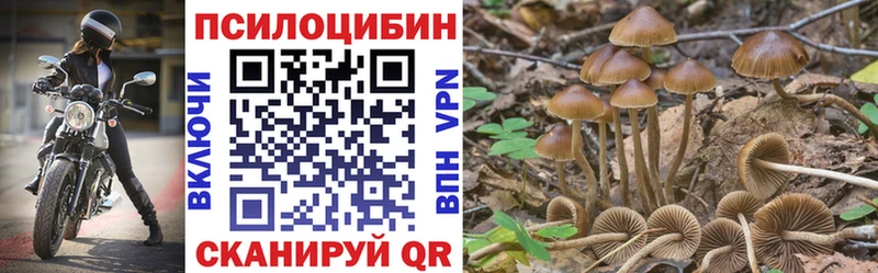 KRAKEN tor  купить   Ачинск  Галлюциногенные грибы GOLDEN TEACHER 