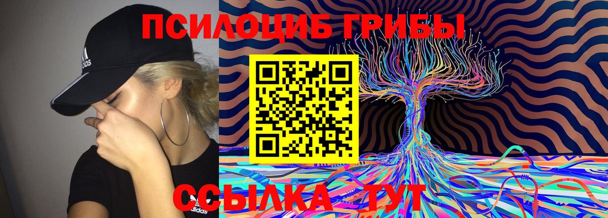 Псилоцибиновые грибы Cubensis  Псилоцибиновые грибы Cubensis  Ачинск 