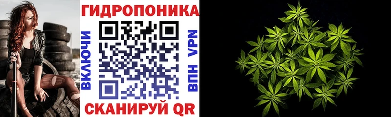 Бошки Шишки индика наркошоп Ачинск